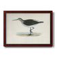 Morris Sandpipers VI Premium Framed Canvas- Ready to Hang