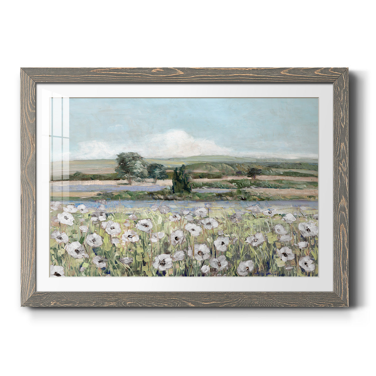 Vintage Poppy Valley - Barnwood Framed Art Print