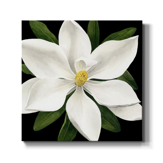 Midnight Magnolia I - Canvas Art Print