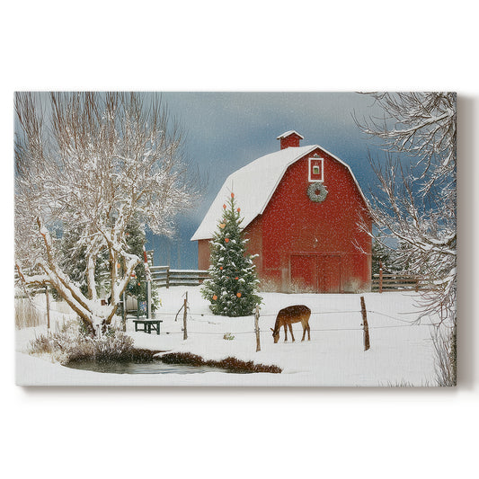 Silver Fir Promise - Canvas Art Print