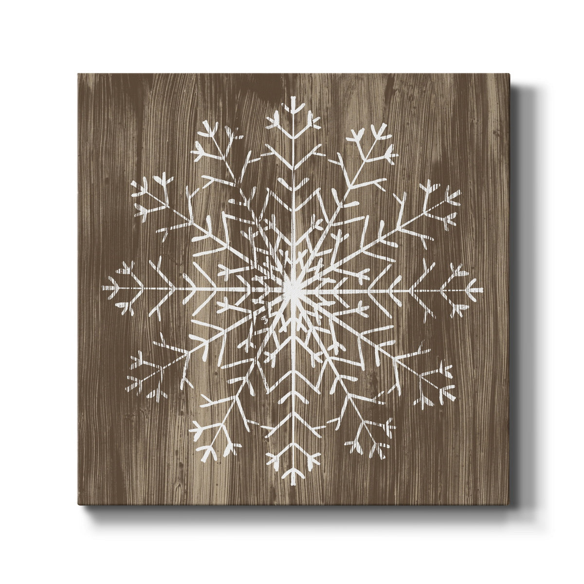 Barnwood Wonderland III-Premium Gallery Wrapped Canvas - Ready to Hang