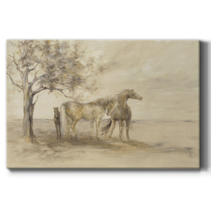Family Tree - Canvas Art Print