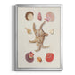 Knorr Shells & Coral II - Modern Framed Canvas Print