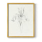 Neutral Iris Sketch I - Restickable Framed Art Print