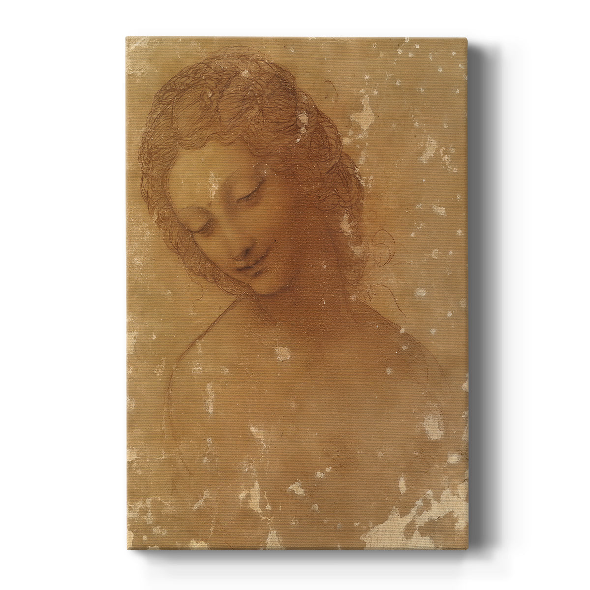 Canvas art print featuring a Renaissance drawing of a woman's head with flowing hair and soft tones on a clean white background.