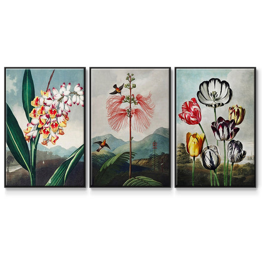 Temple of Flora VI - Floater Framed Canvas Set