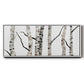 Birch Trees II - Floater Framed Canvas Print