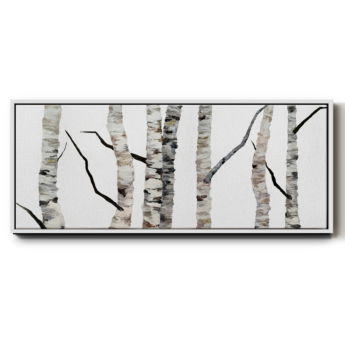Birch Trees II - Floater Framed Canvas Print