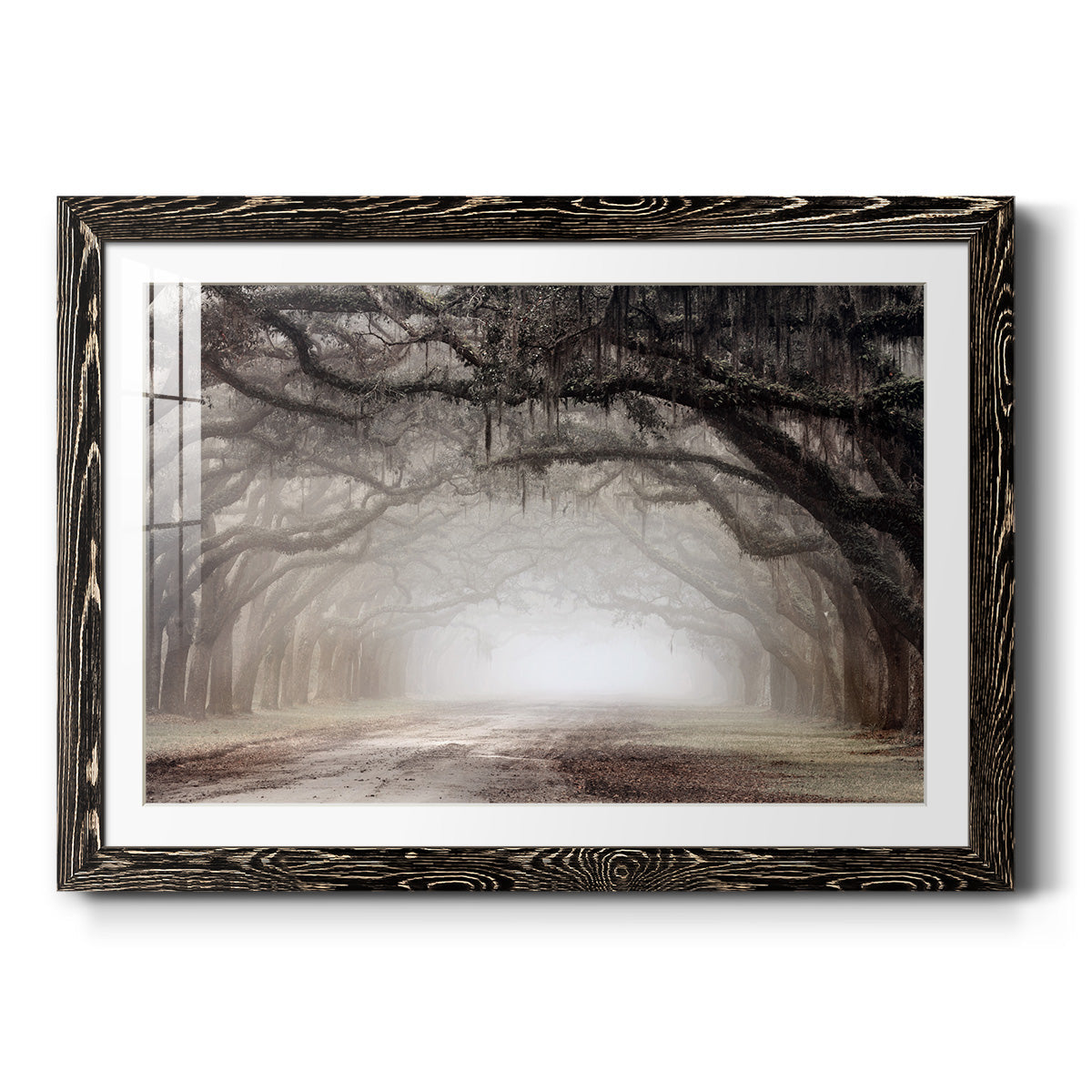 Timeless Plantation Drive - Barnwood Framed Art Print