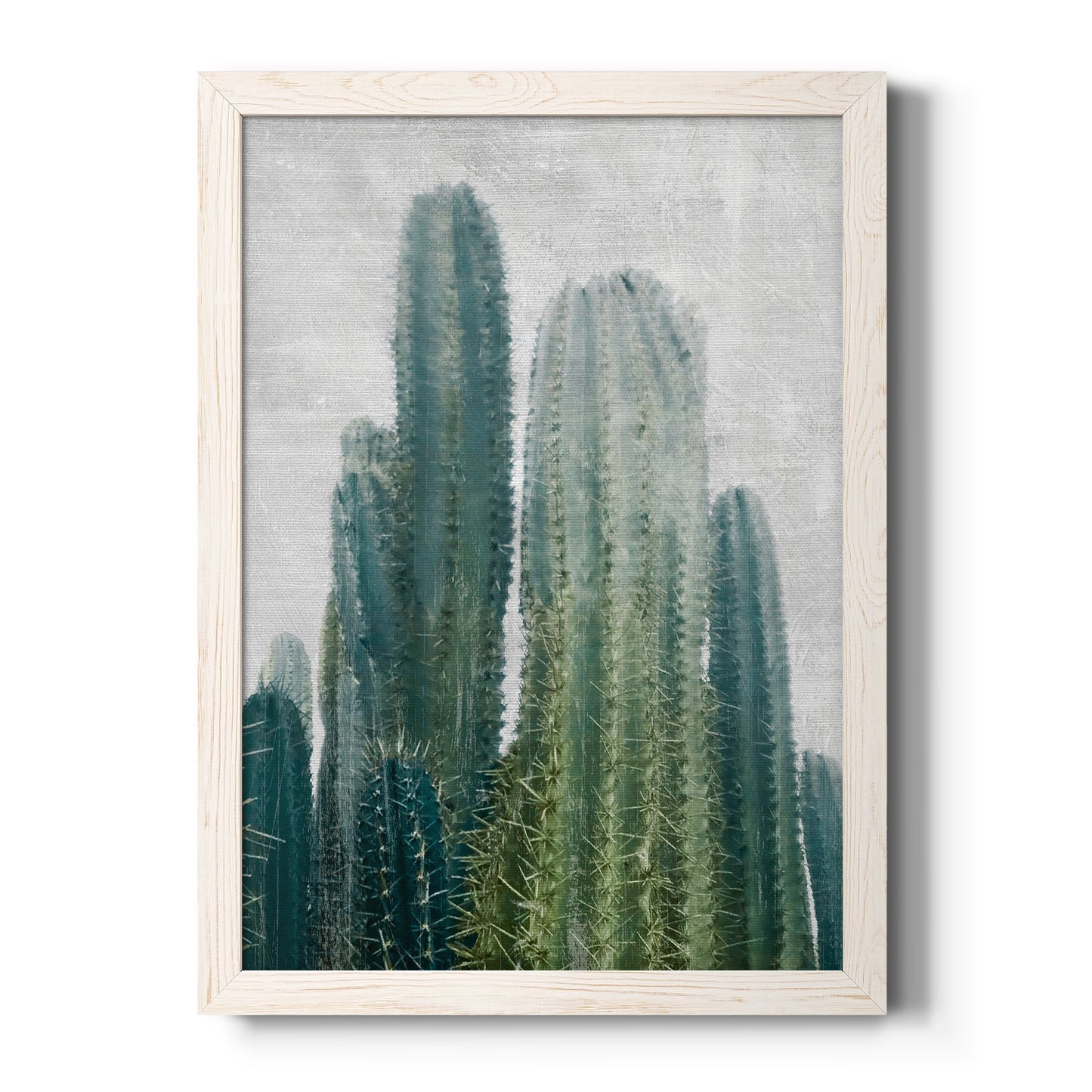 Aruba Cacti II - Barnwood Framed Canvas Print