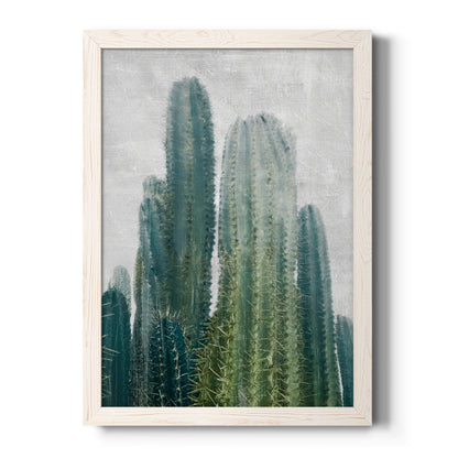 Aruba Cacti II - Barnwood Framed Canvas Print