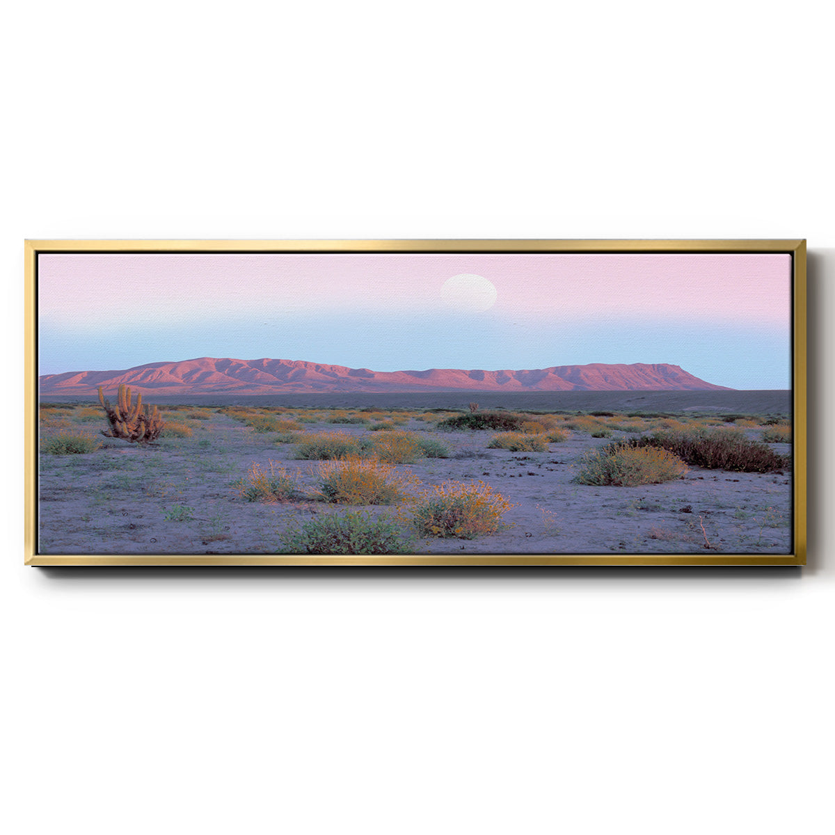 Vallenar Atacama Desert - Floater Framed Canvas Print