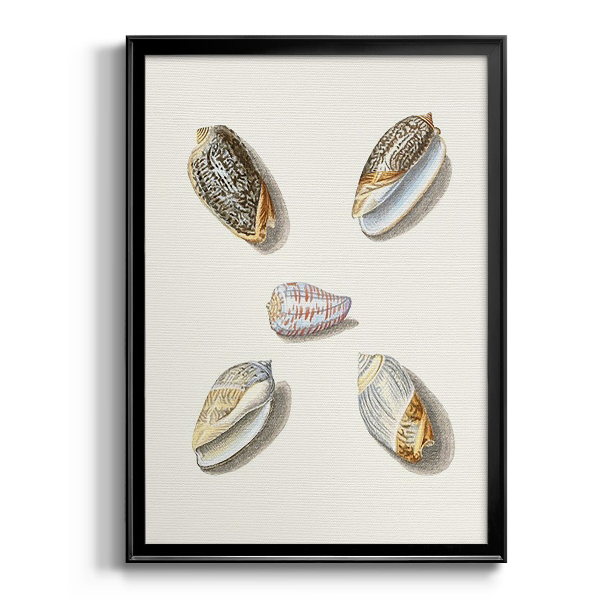 Pastel Knorr Shells III - Modern Framed Canvas Print