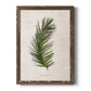 Palm Botanical II - Premium Canvas Framed in Barnwood - Ready to Hang