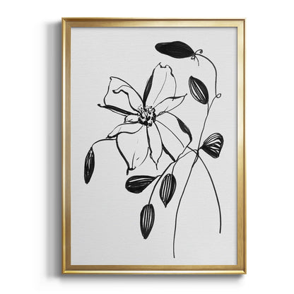 Wild Clematis II - Modern Framed Canvas Print