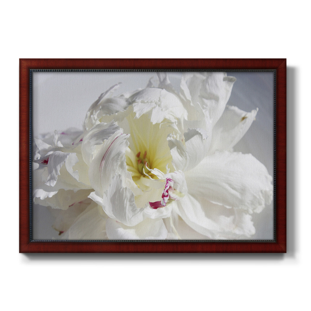 Breathless IV - Ornate Framed Canvas Print