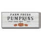 Farm Fresh Pumpkins - Floater Framed Canvas Print