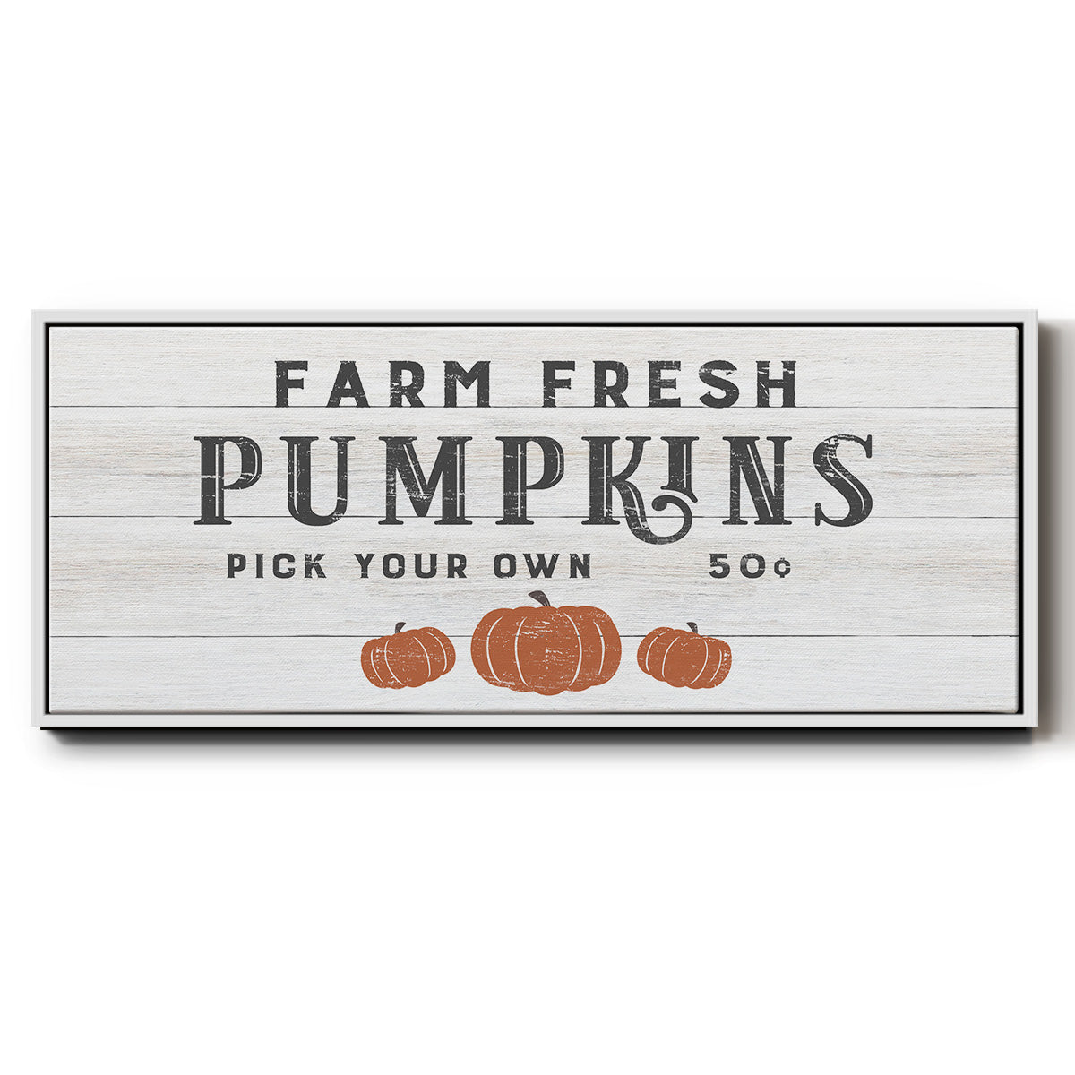 Farm Fresh Pumpkins - Floater Framed Canvas Print