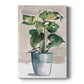 Potted Houseplant II - Canvas Art Print