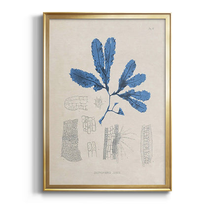 Blue Marine Algae VII - Modern Framed Canvas Print