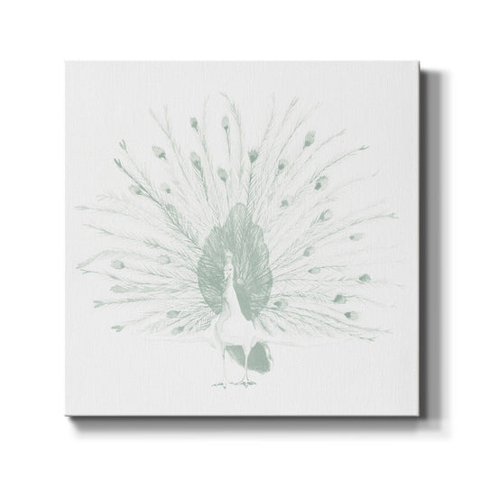 Sage Peacock II - Canvas Art Print