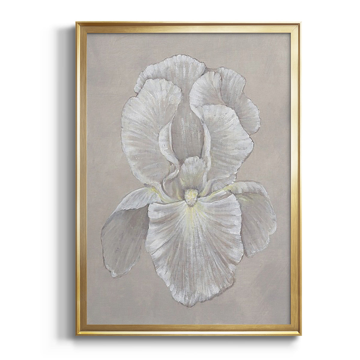 White Iris II - Modern Framed Canvas Print