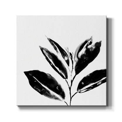 Monochrome Tropic IV - Canvas Art Print