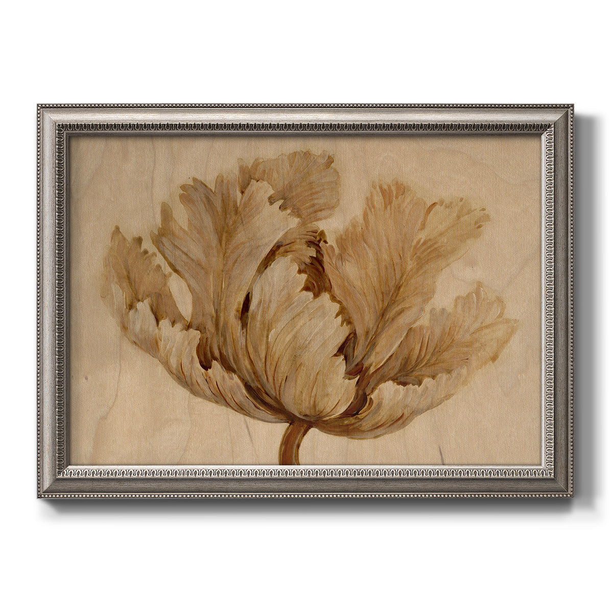 Minimalist sepia tulip botanical artwork printed on canvas in an ornate vintage silver frame.