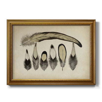 Vintage Feathers VII Premium Framed Canvas- Ready to Hang