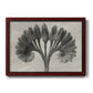 Vintage botanical plant study photograph by Karl Blossfeldt printed on canvas in an ornate cherry burl wood frame.