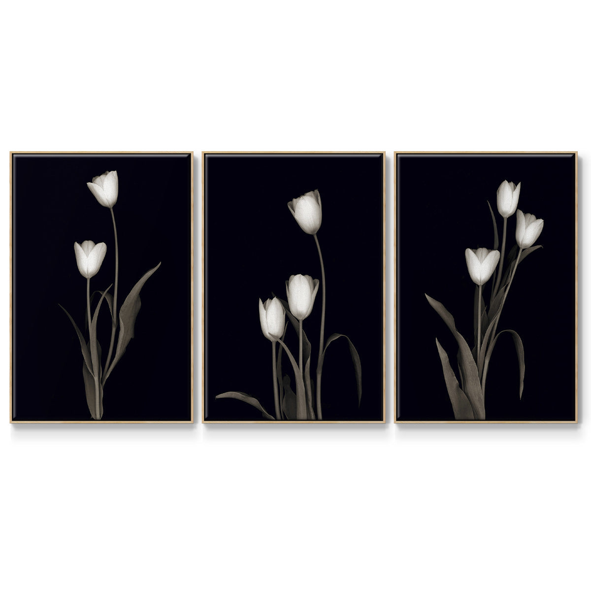 Tulip Pose I - Floater Framed Canvas Set