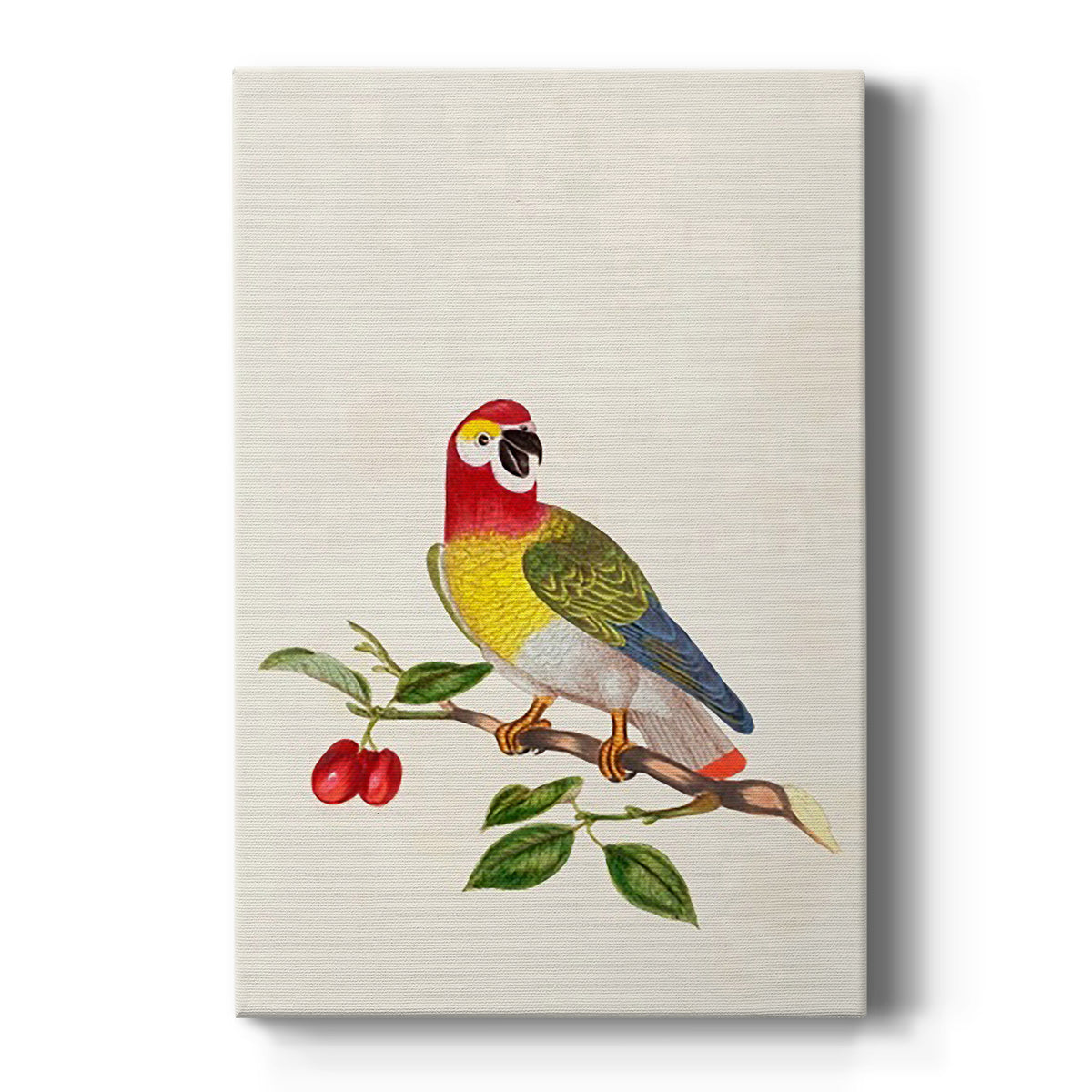 Bird in Habitat VI Premium Gallery Wrapped Canvas - Ready to Hang