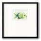 Speckled Freshwater Fish II Premium Framed Print Double Matboard