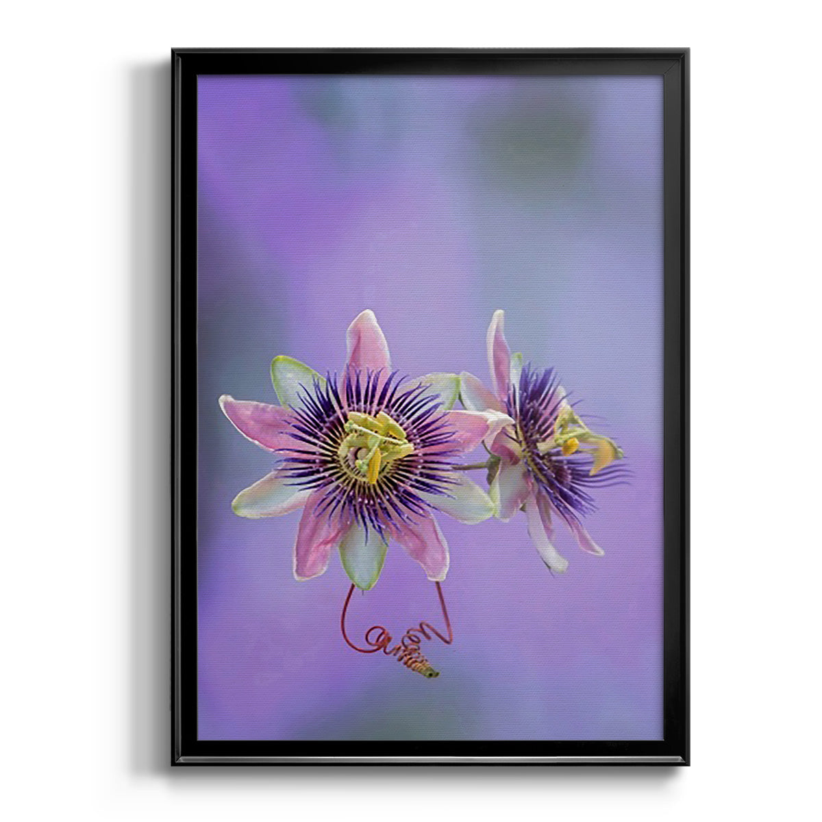 Exotic Flower Burst II - Modern Framed Canvas Print