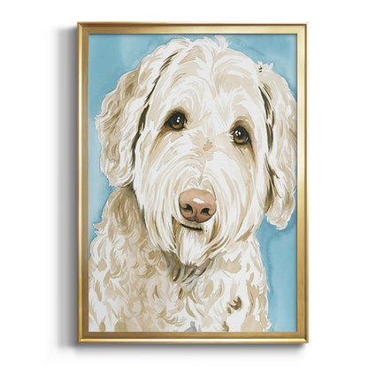 Labradoodle I - Modern Framed Canvas Print