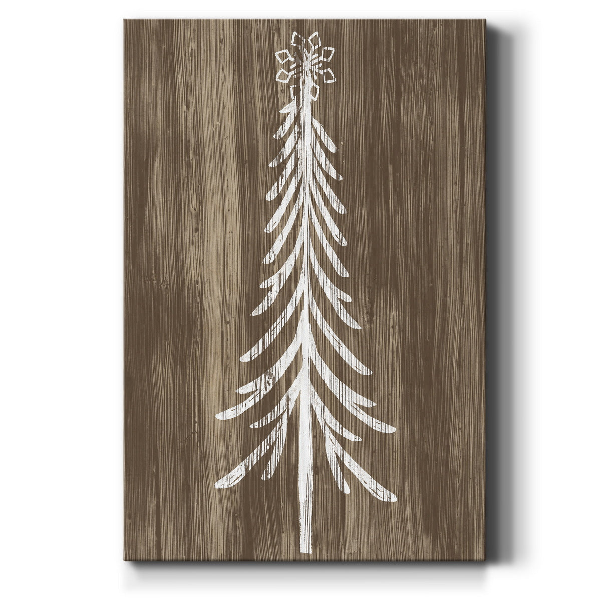 Barnwood Wonderland IX Premium Gallery Wrapped Canvas - Ready to Hang