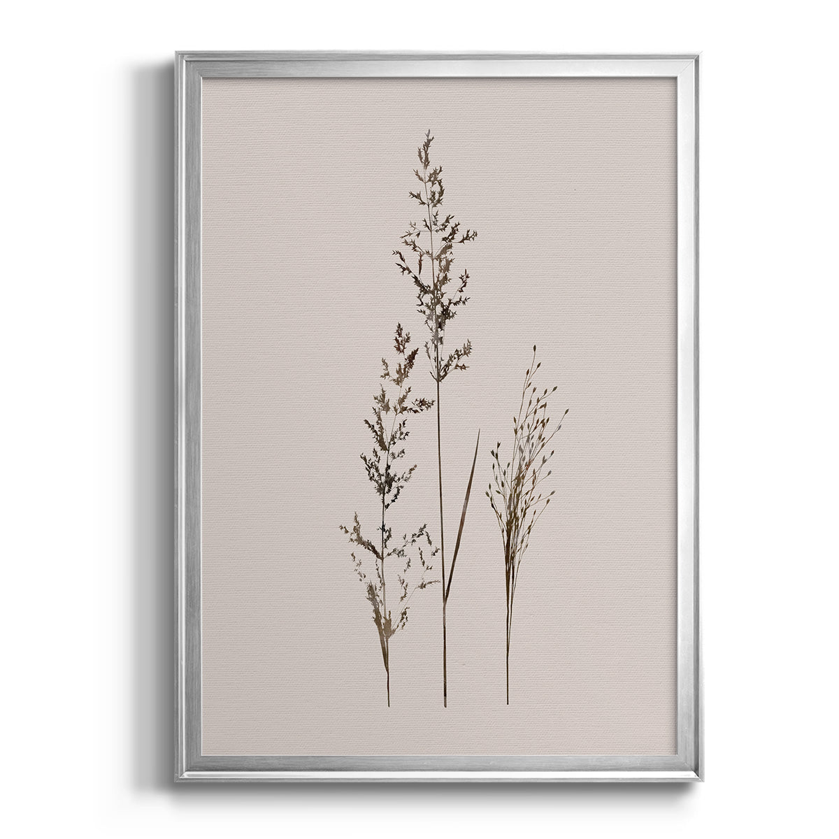 Delicate Stems I - Modern Framed Canvas Print