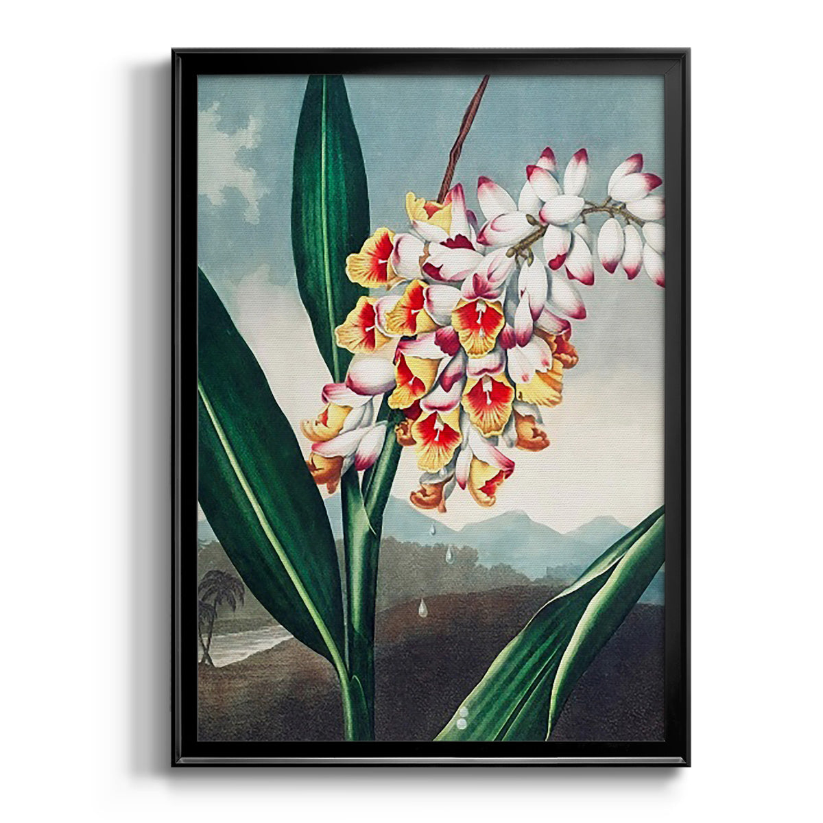 Temple of Flora VII - Modern Framed Canvas Print