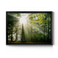 Light and Trees II Premium Classic Framed Canvas - Ready to Hang