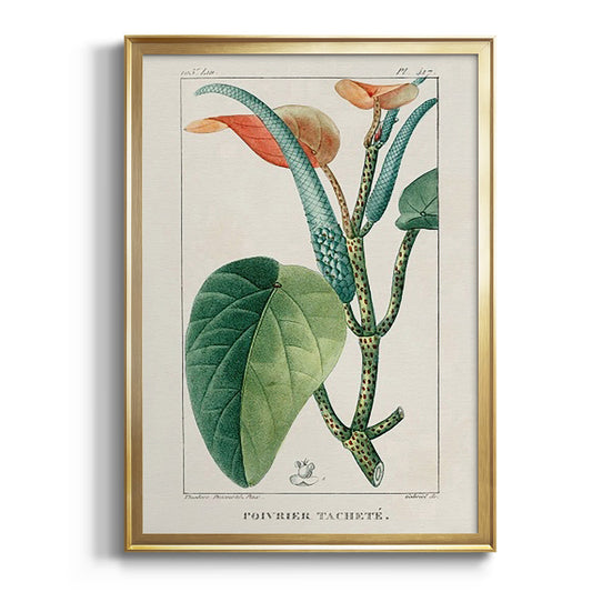 Turpin Tropical Botanicals II - Modern Framed Canvas Print