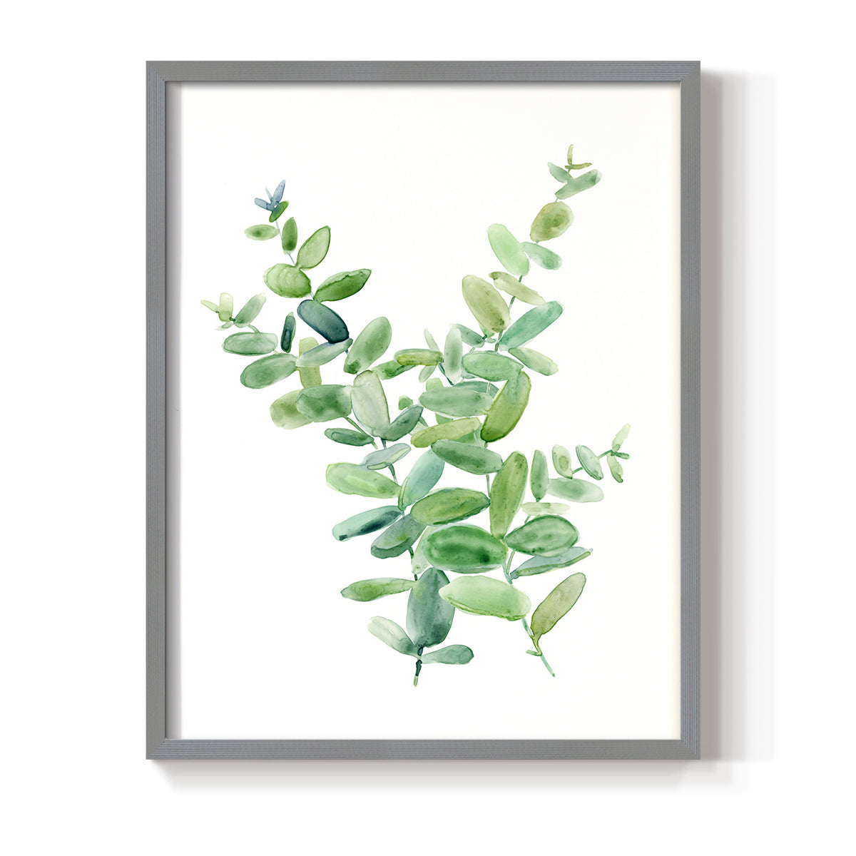 Eucalyptus III - Restickable Framed Art Print