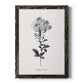 Simply Cape Leadwort - Premium Canvas Framed in Barnwood - Ready to Hang