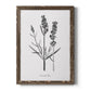 Simply Lavender - Premium Canvas Framed in Barnwood - Ready to Hang