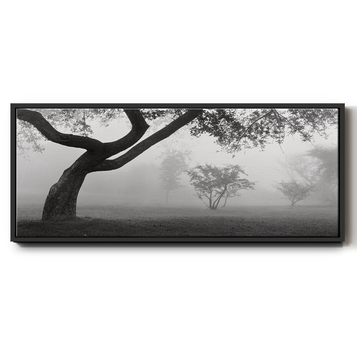 Morning Mist, Farmington Hills, Michigan - Floater Framed Canvas Print