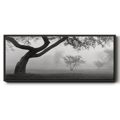 Morning Mist, Farmington Hills, Michigan - Floater Framed Canvas Print