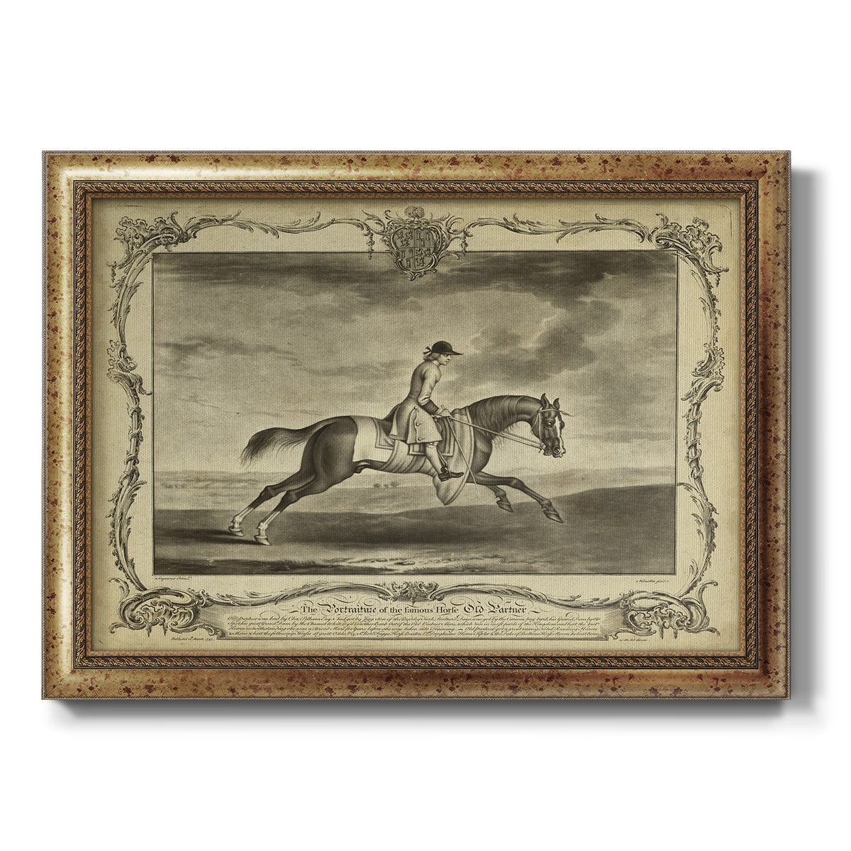 Distinguished Horses I Premium Framed Canvas- Ready to Hang