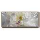 Breathless V - Floater Framed Canvas Print