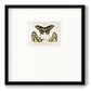 Crackled Butterflies I - Double Matboard Framed Print