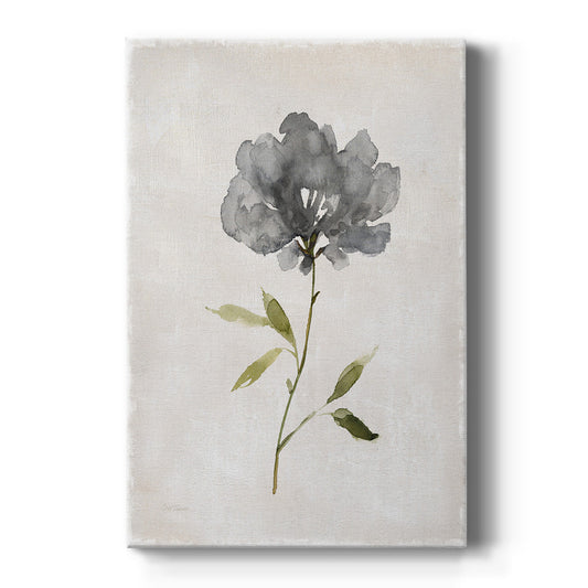 Botanical Beauty I Premium Gallery Wrapped Canvas - Ready to Hang