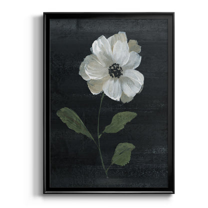 Country Botanical I - Modern Framed Canvas Print